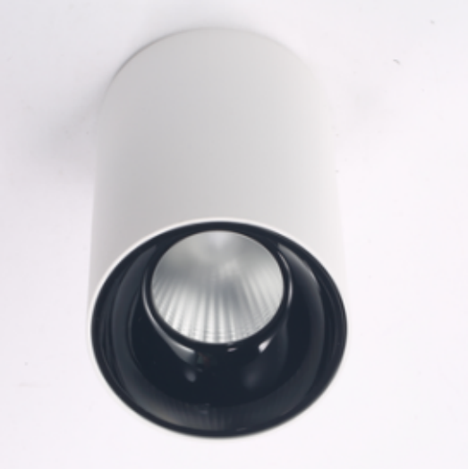 SI-DLDF2-12W